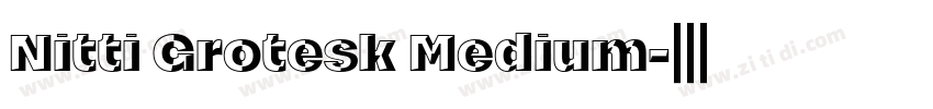 Nitti Grotesk Medium字体转换